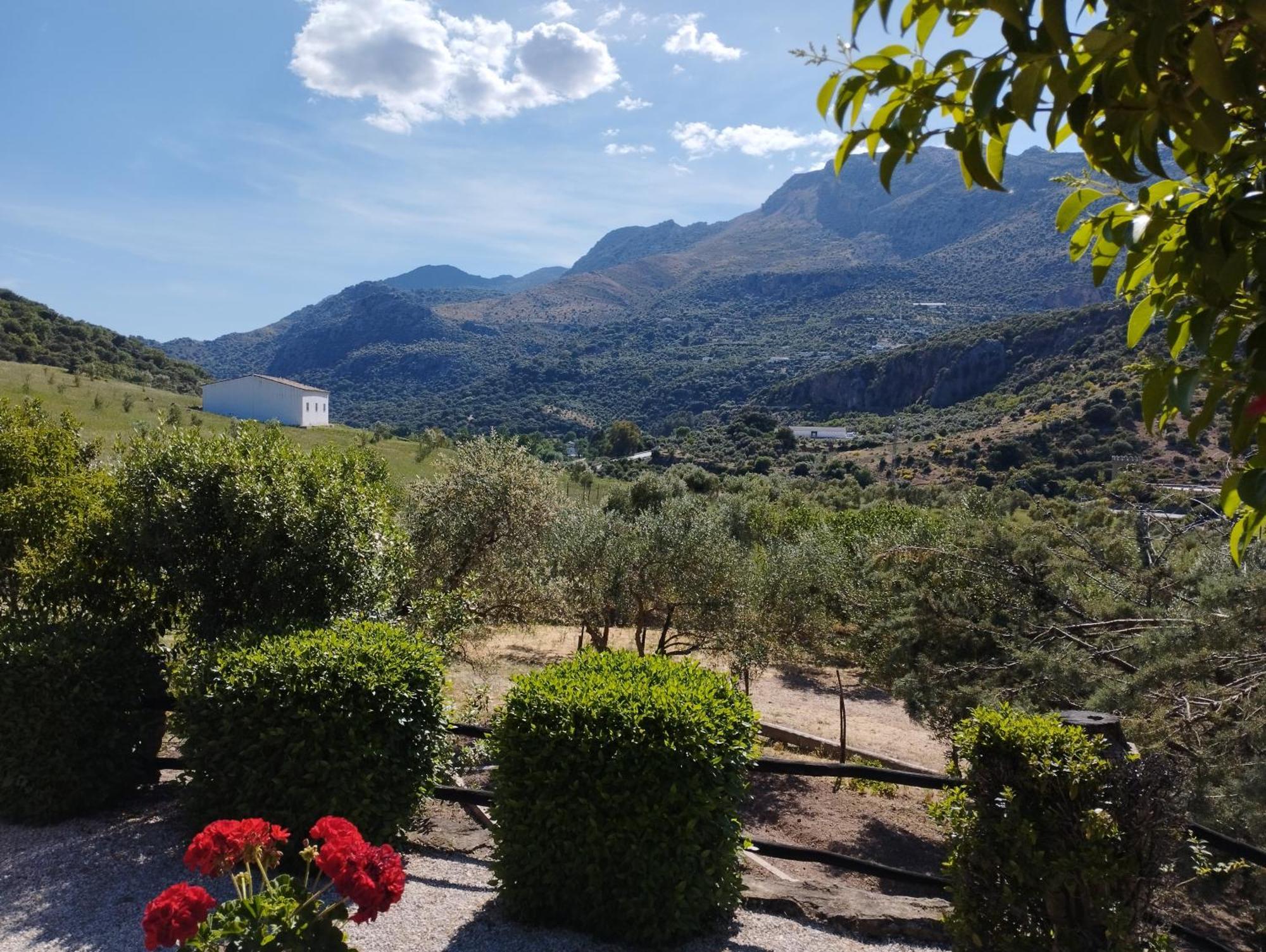 Posada Del Moral Benaoján Exteriör bild